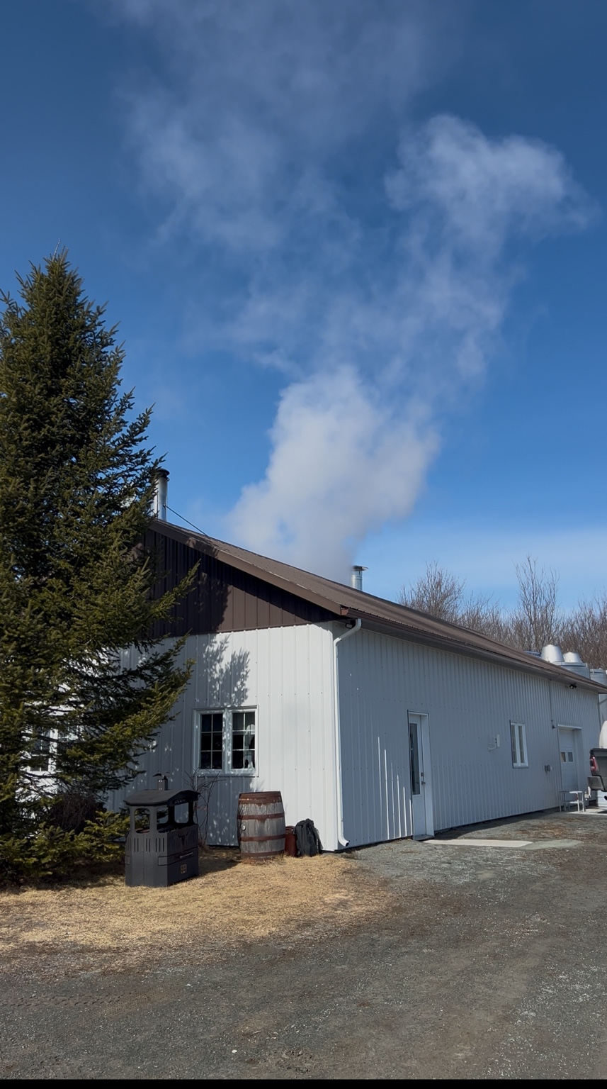 Vapeur montant de la cabane à sucre, sous un ciel bleu de printemps.